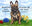 Maverick and Friends logo